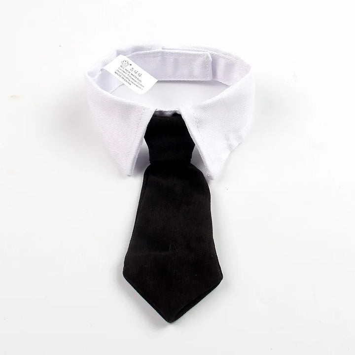 Funny Pet Cat Hat – Gentleman's Hat & Tie Cosplay Costume – Stylish Pet Photo Prop