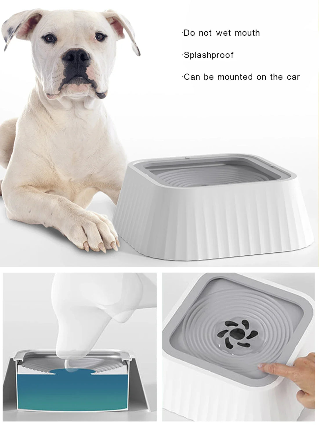 Pet Water Fountain with Floating Plates – No-Spill Dog Water Bowl & Slow Feeder