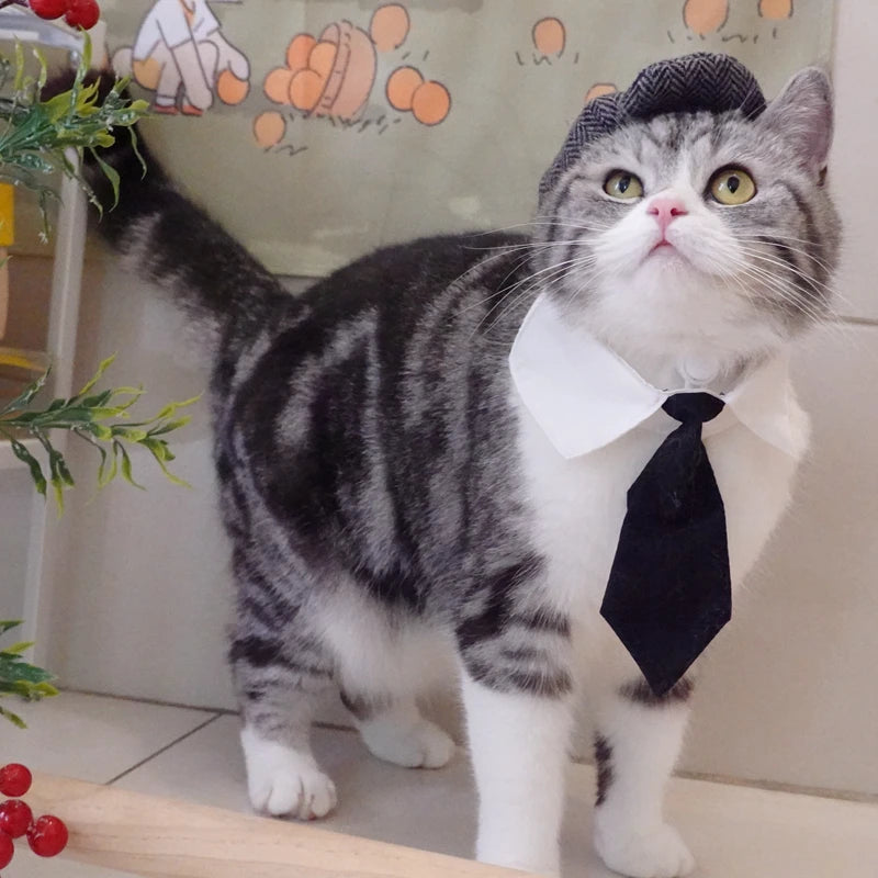 Funny Pet Cat Hat – Gentleman's Hat & Tie Cosplay Costume – Stylish Pet Photo Prop