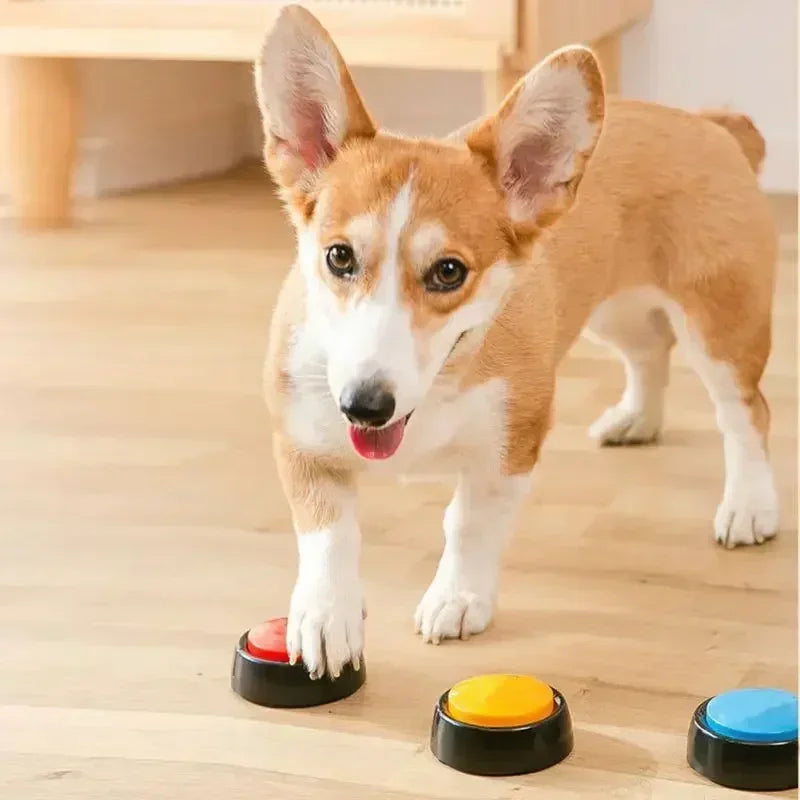 Pet Sound Box Recordable Talking Button – Interactive Communication & Training Tool for Dogs & Cats
