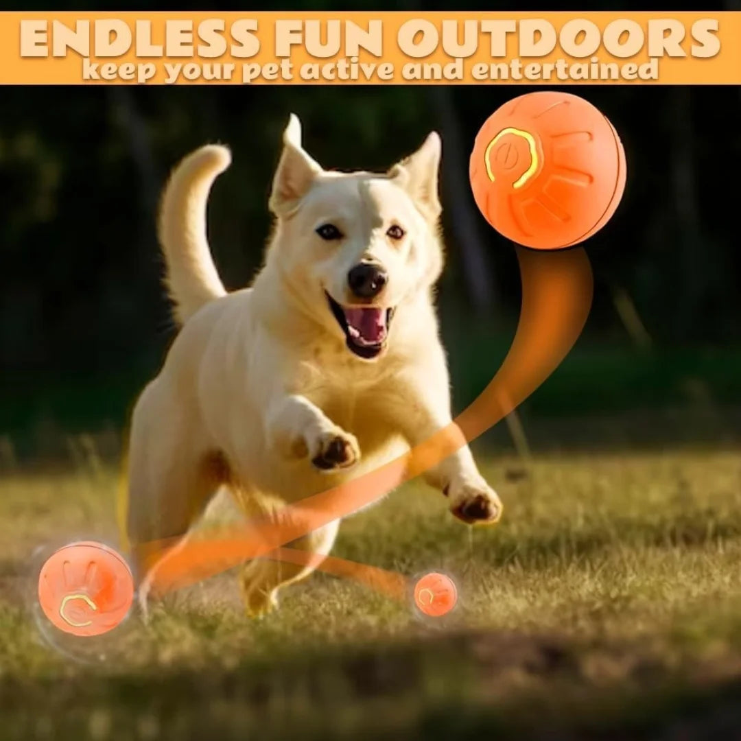 Gravity Electric Amusement Pet Ball – Smart Bouncing Toy for Dogs & Cats