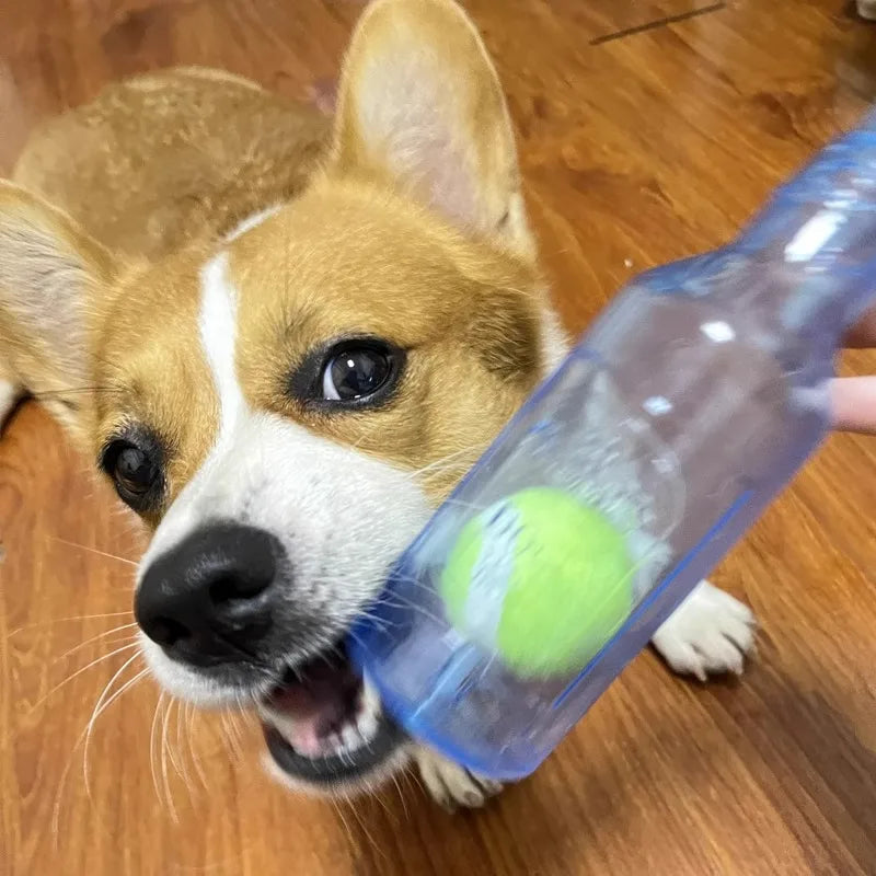 TPR Bite-Resistant Beer Bottle Dog Chew Toy with Tennis Ball – Squeaky Interactive Toy for Puppies & Adult Dogs