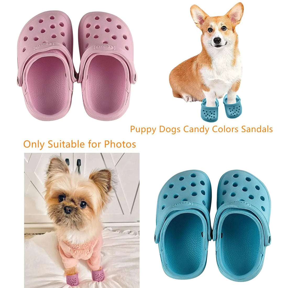 Pet Shoes for Dogs & Cats – Decorative, Comfortable, and Protective Footwear for Small Pets