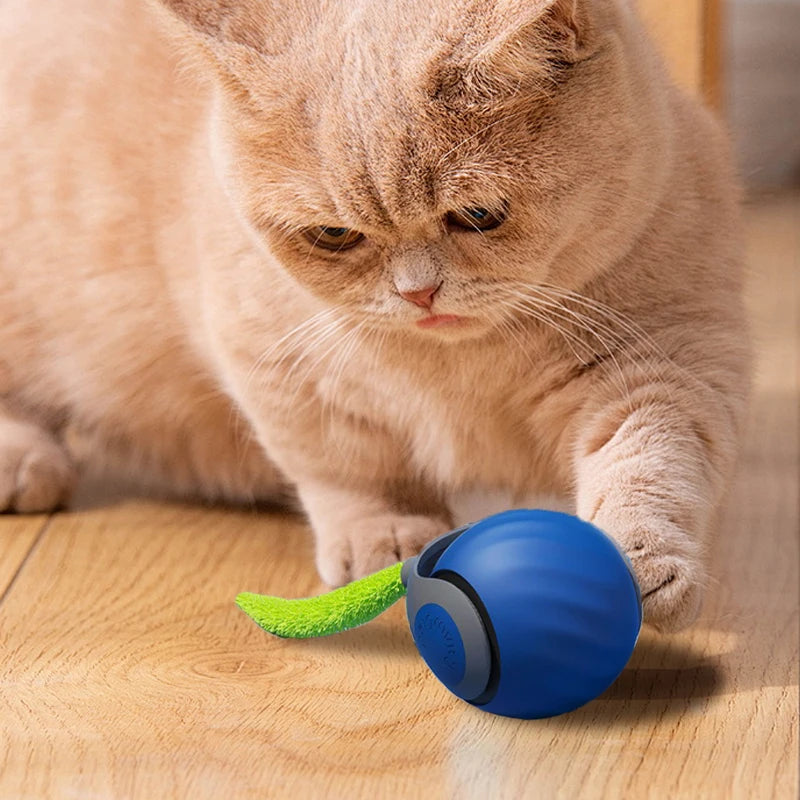 Smart Automatic Moving Bouncing Ball – Interactive USB Rechargeable Toy for Dogs & Cats