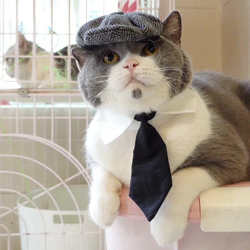 Funny Pet Cat Hat – Gentleman's Hat & Tie Cosplay Costume – Stylish Pet Photo Prop