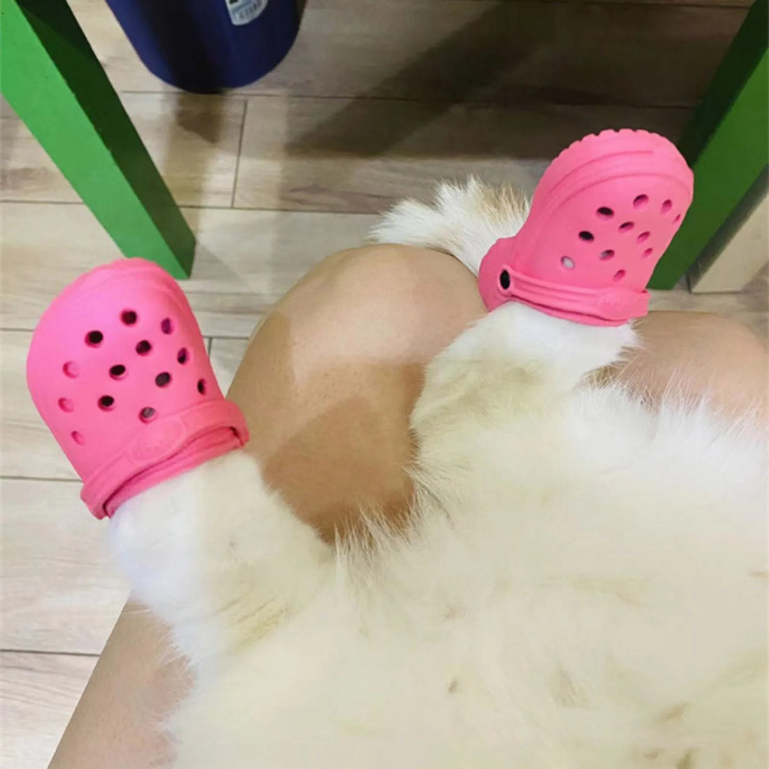 Pet Shoes for Dogs & Cats – Decorative, Comfortable, and Protective Footwear for Small Pets