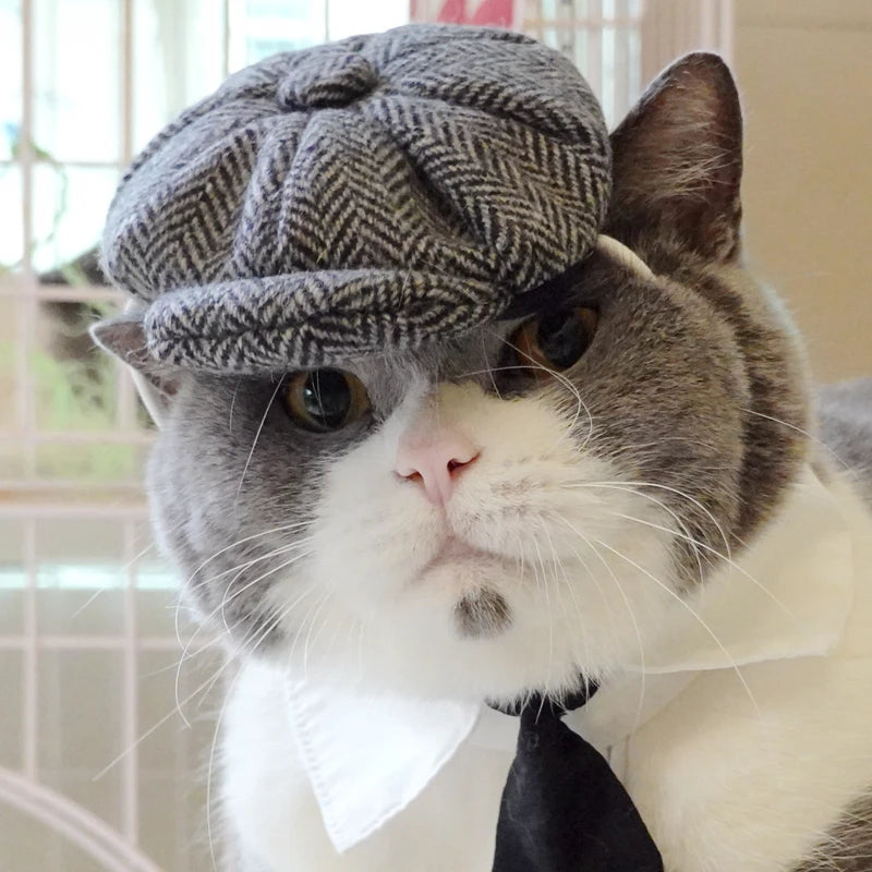 Funny Pet Cat Hat – Gentleman's Hat & Tie Cosplay Costume – Stylish Pet Photo Prop