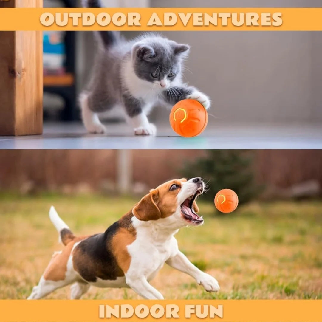 Gravity Electric Amusement Pet Ball – Smart Bouncing Toy for Dogs & Cats