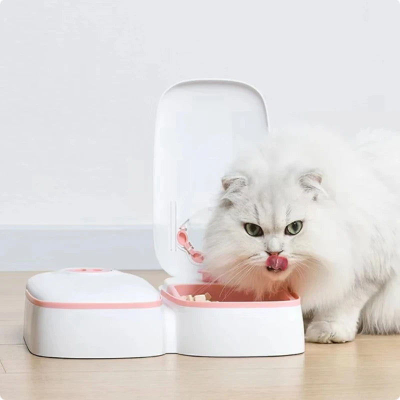 Single Automatic Pet Food Dispenser Bowl with Timer
