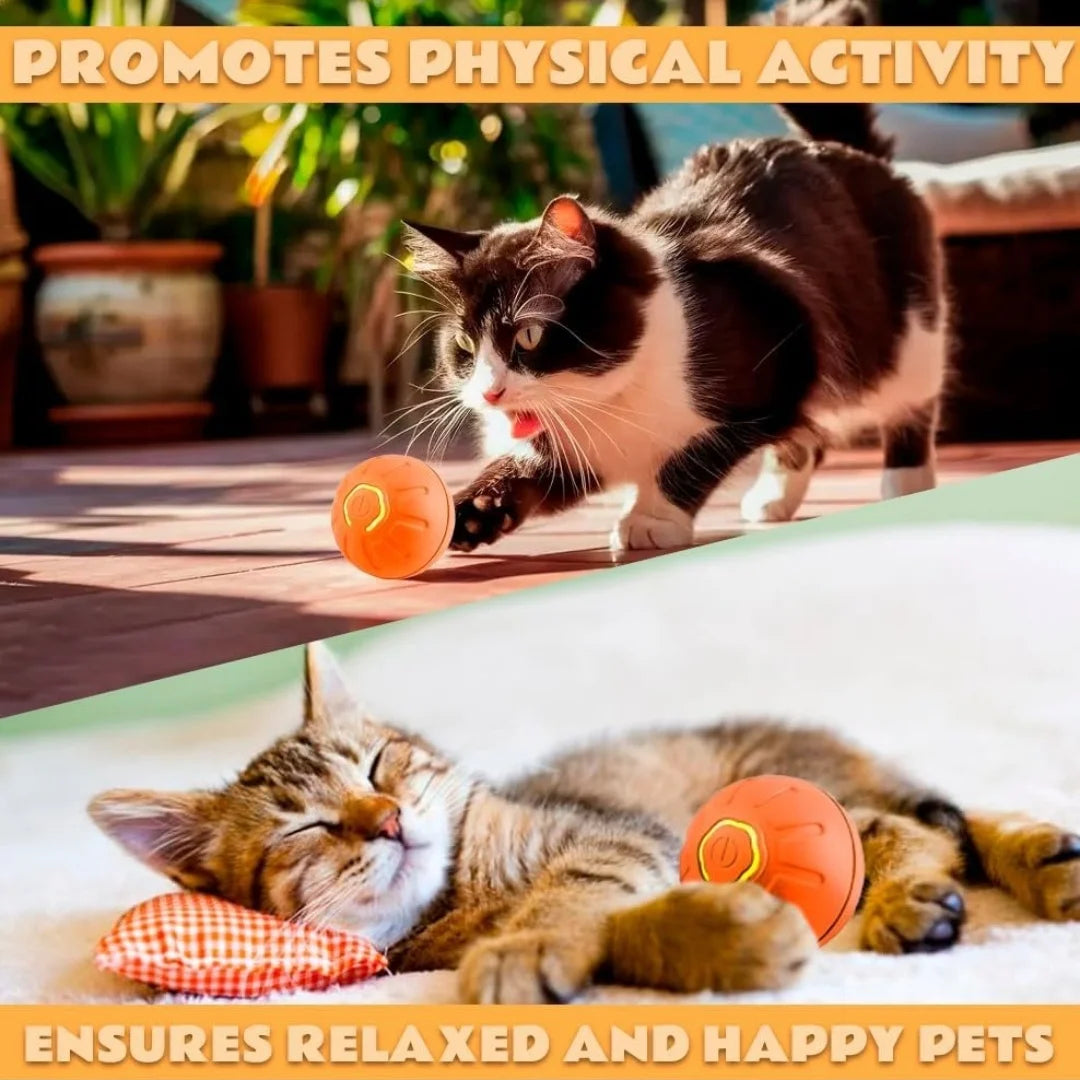 Gravity Electric Amusement Pet Ball – Smart Bouncing Toy for Dogs & Cats