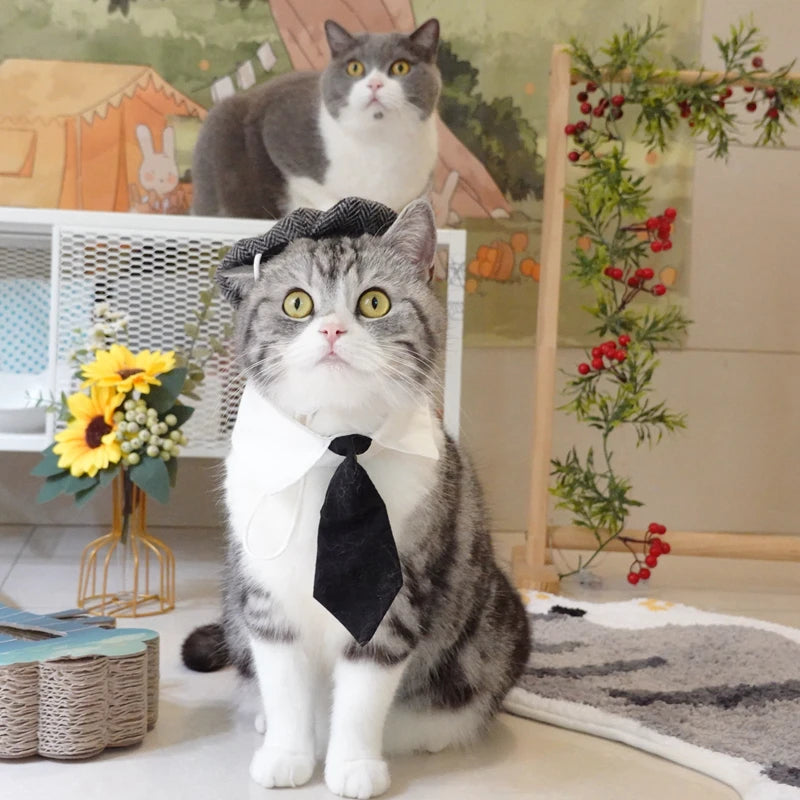 Funny Pet Cat Hat – Gentleman's Hat & Tie Cosplay Costume – Stylish Pet Photo Prop