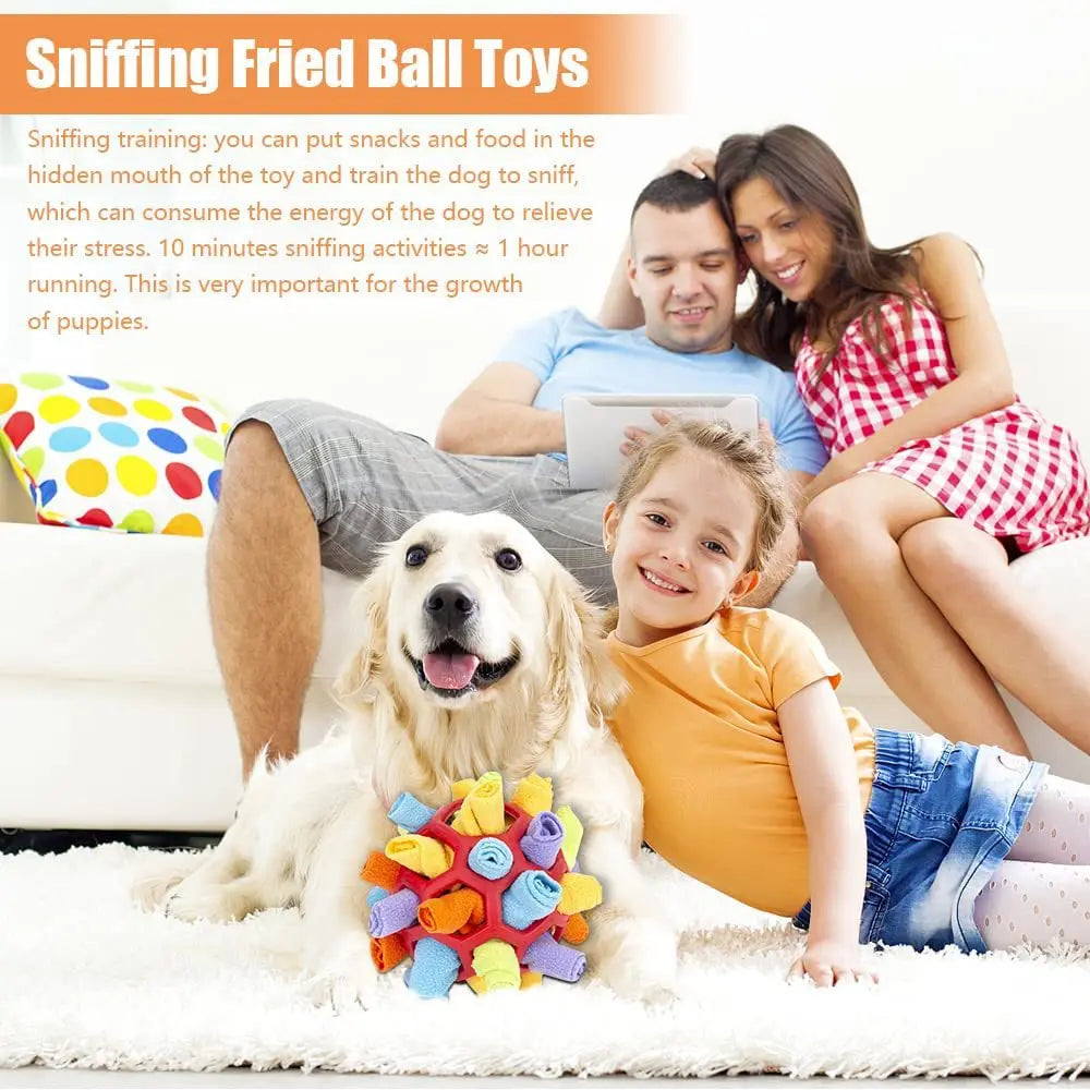 Interactive Pet Sniffing Ball – Educational Foraging & Training Toy for Dogs & Cats – Encourages Natural Feeding Behavior