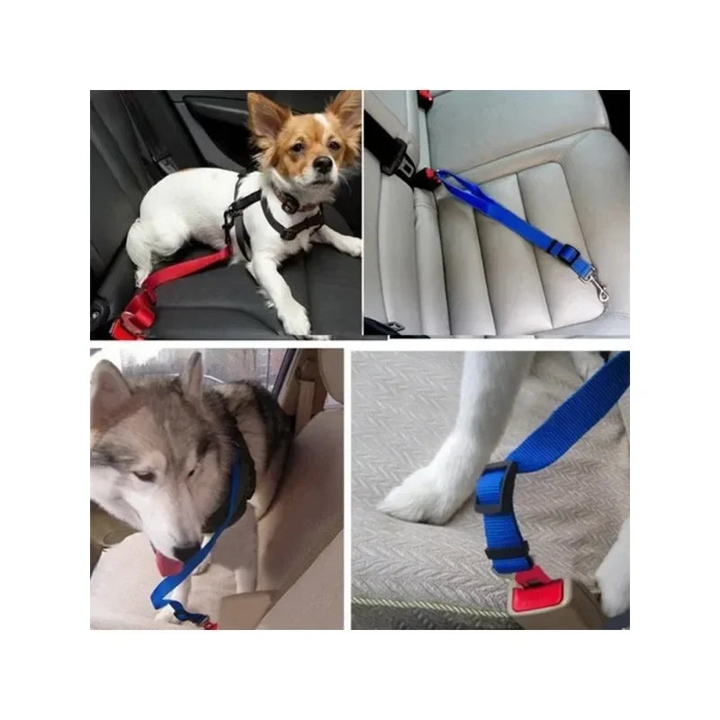 Adjustable Pet Safety Rope for Cars – Dog Traction Belt for Secure Car Travel – Durable Car-Mounted Pet Restraint in Black, Red & Blue