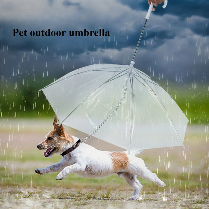 Pet Umbrella for Small Dogs – Transparent Rain Umbrella with Leash for Teddy & Small Breeds – Waterproof Walking Accessory