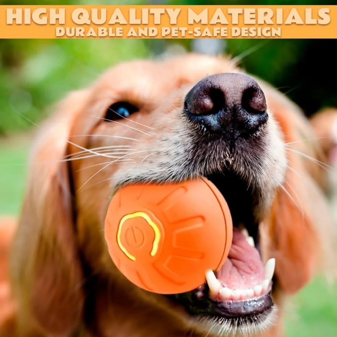 Gravity Electric Amusement Pet Ball – Smart Bouncing Toy for Dogs & Cats