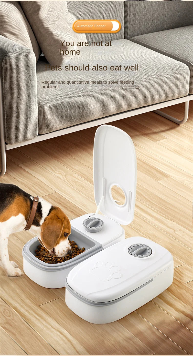 Single Automatic Pet Food Dispenser Bowl with Timer