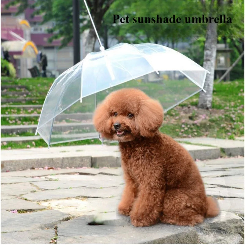 Pet Umbrella for Small Dogs – Transparent Rain Umbrella with Leash for Teddy & Small Breeds – Waterproof Walking Accessory