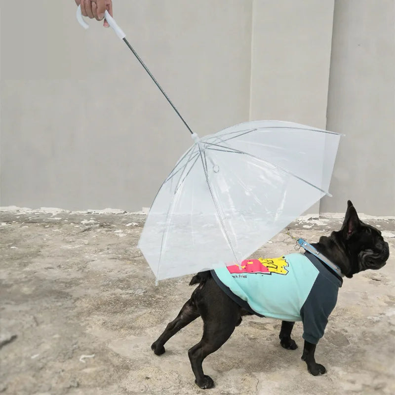 Pet Umbrella for Small Dogs – Transparent Rain Umbrella with Leash for Teddy & Small Breeds – Waterproof Walking Accessory