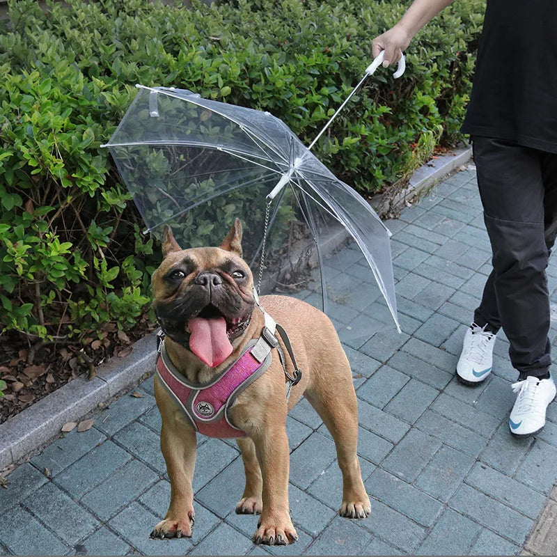 Pet Umbrella for Small Dogs – Transparent Rain Umbrella with Leash for Teddy & Small Breeds – Waterproof Walking Accessory